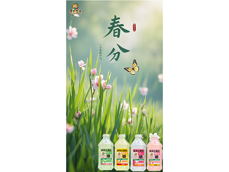 春来处处百花香 莫负好时光