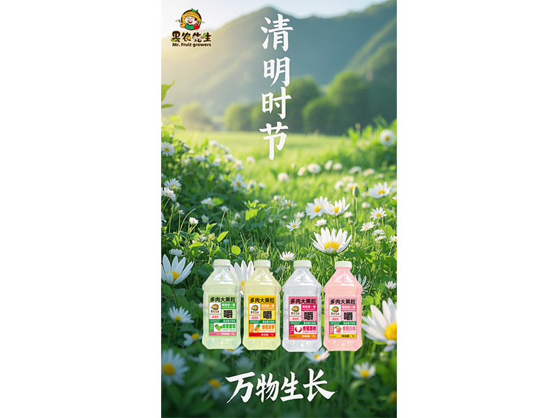 细雨绵绵已清明 暖暖春意诉浓情