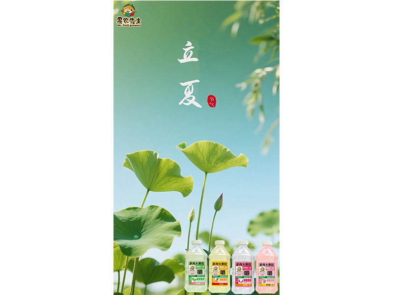 春之暮 夏之始 万物并秀