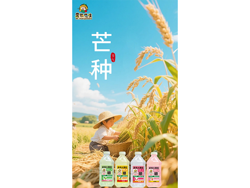 仲夏婵长鸣 芒种正当时