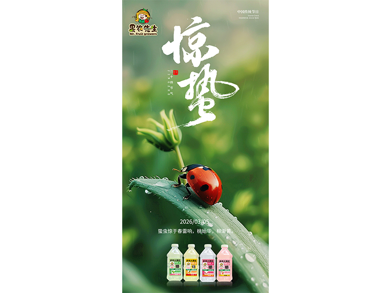 微雨众卉新,一雷惊蛰始