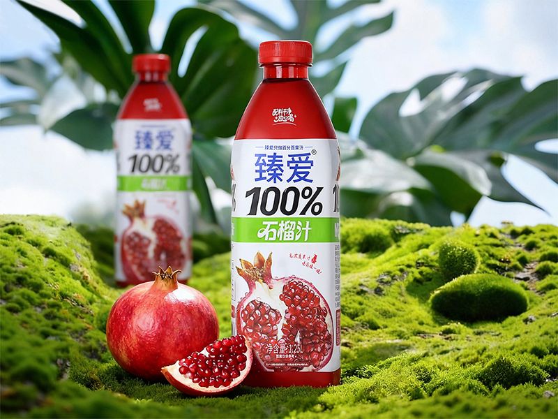 臻爱100NFC石榴汁