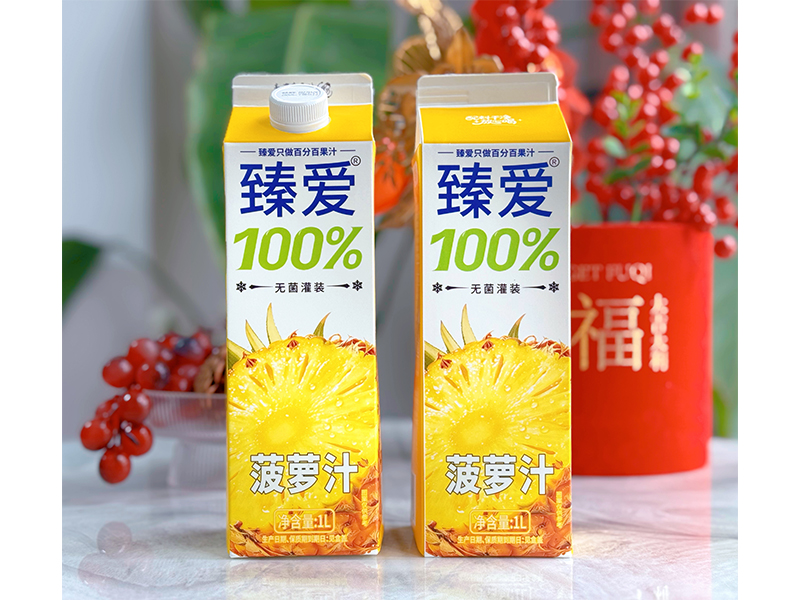 臻爱100菠萝汁