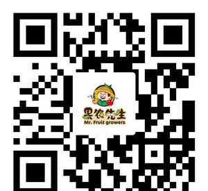 图片3